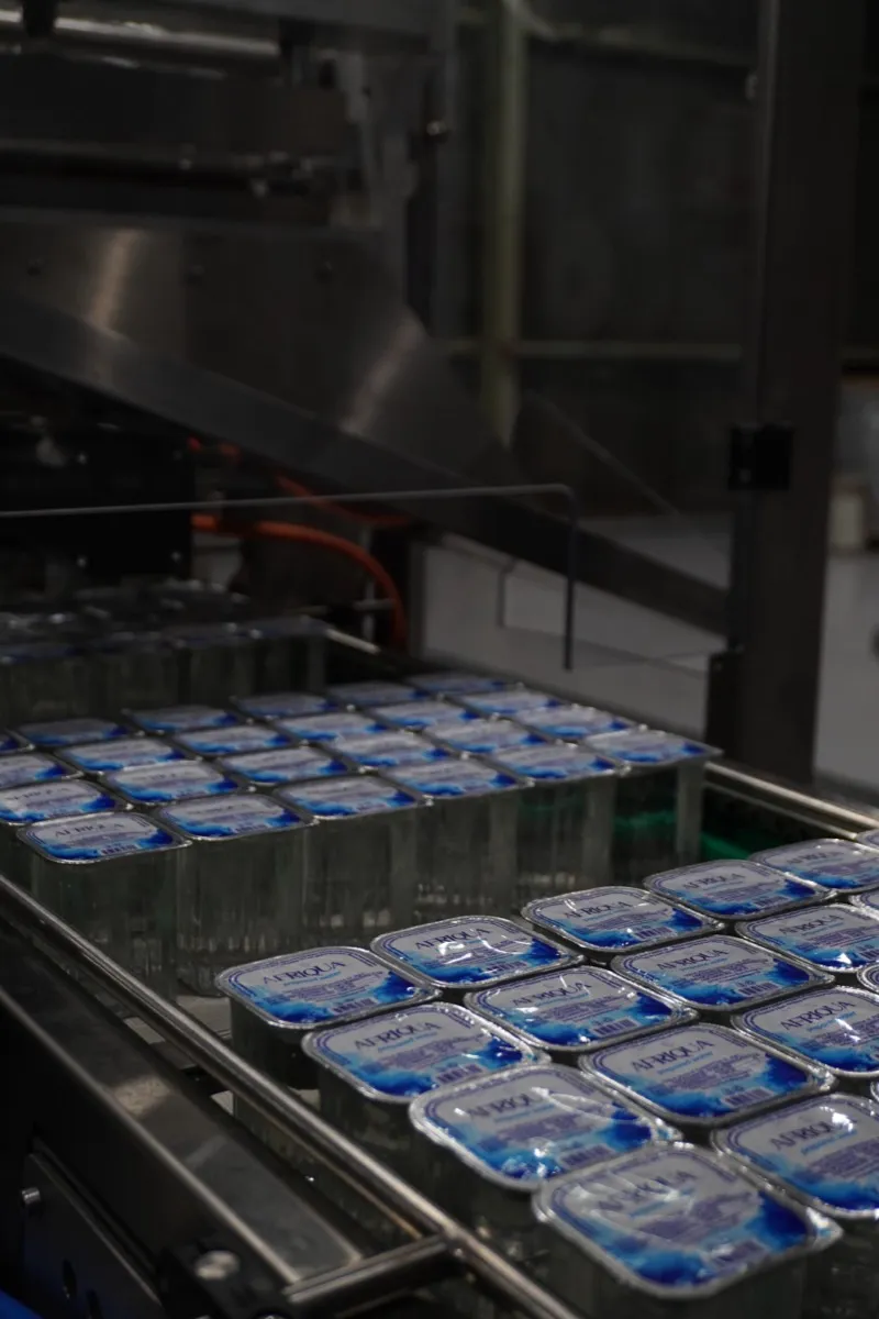 Foil-sealed cups queued for tray packing