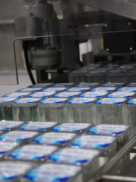 Sealed cups leaving the machine in rows
